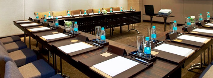 535/The Westin Hyderabad Mindspace - Hyderabad 07.jpg